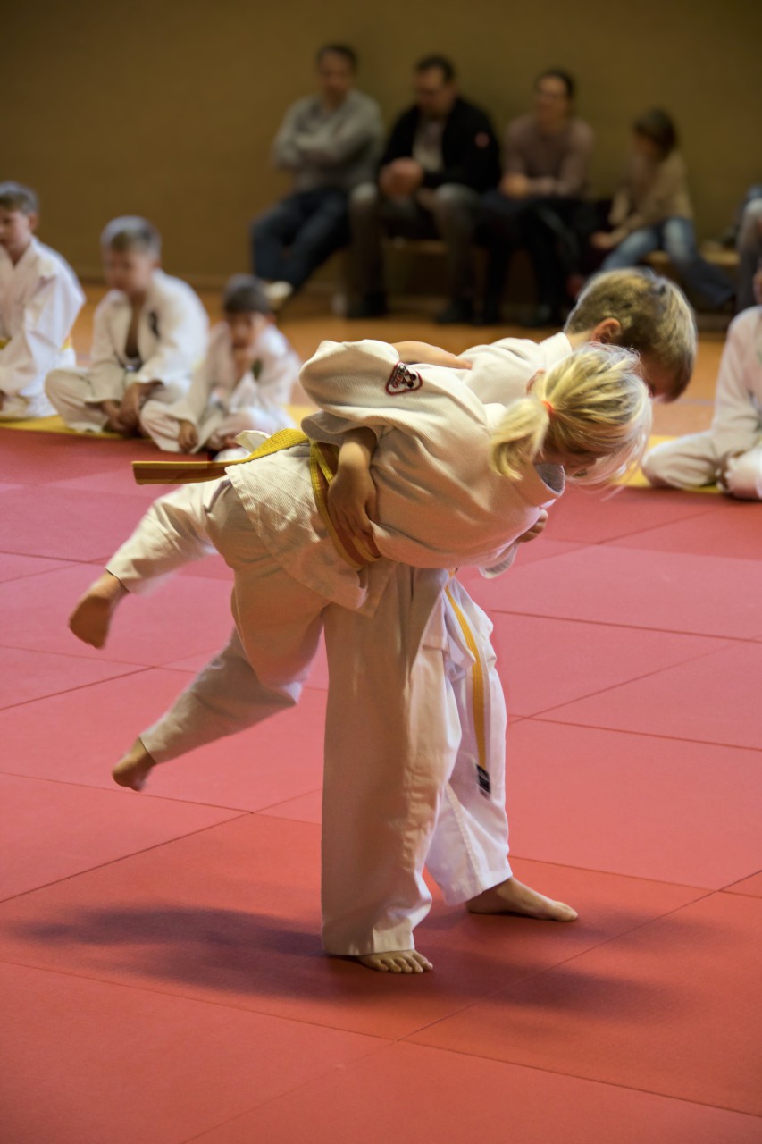 Piet mit einem O-Goshi Piet mit einem O-Goshi